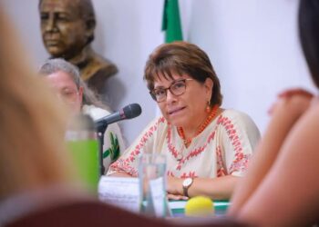 Necesario sancionar violencia de género ejercida por funcionarios públicos