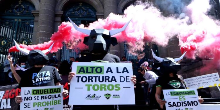 Prohibición de corridas de toros vuelve a estar en la discusión
