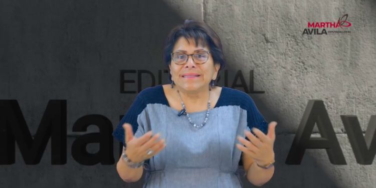 La Reforma Electoral no es un atentado contra la democracia: Martha Ávila