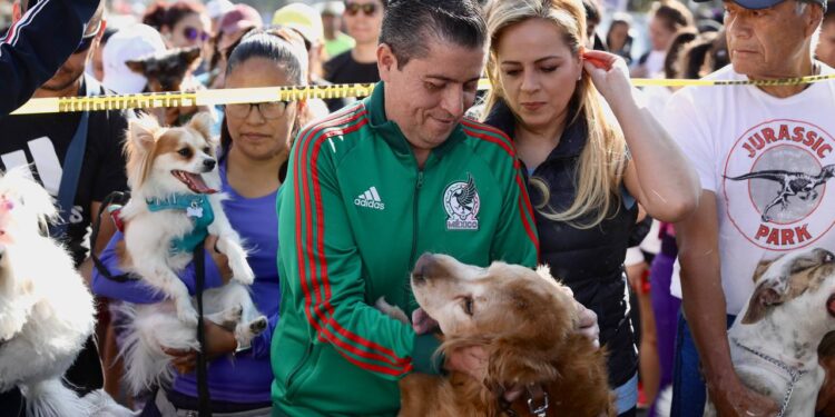 Participan cientos en ‘Maratón Canino’ en Coyoacán