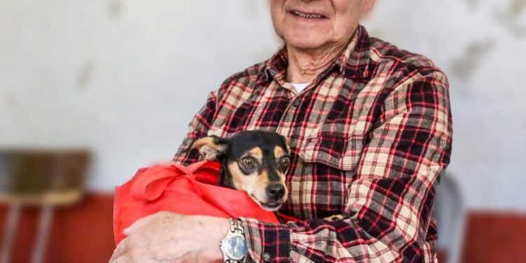Jornada intensa de esterilización canina y felina en Tláhuac