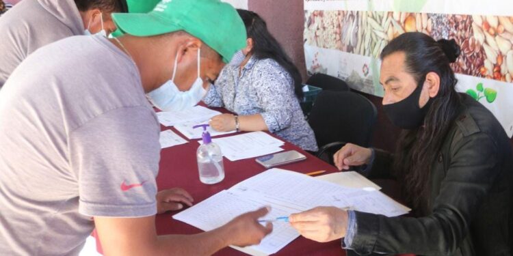 Impulsan producción agrícola en Xochimilco