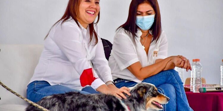 Por el bienestar animal, alistan primer Expo Pet Tláhuac 2023