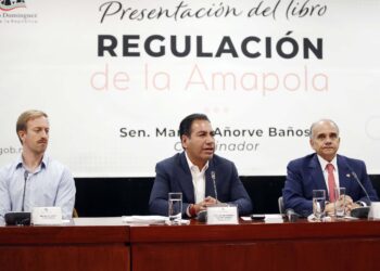 Regular amapola bajaría índices de inseguridad: Senado