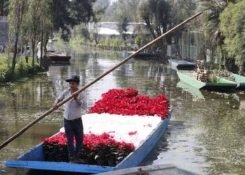 Impulsan rescate de chinamperos y limpieza de canales en Xochimilco 