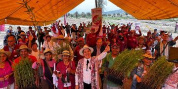 Tláhuac conmemora el Día del Árbol reforestando, la meta sembrar 200 mil