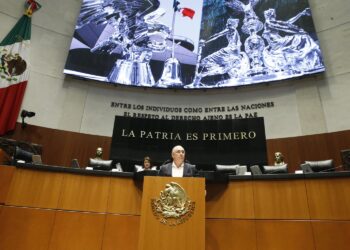 Julen Rementería asegura que el IMSS fue desmantelado