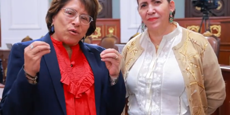 Martha Avila llama a Diputadas y diputados a cumplir con labores legislativas