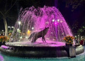 Coyoacán se ilumina de rosa por Día Mundial Contra el Cáncer de Mama