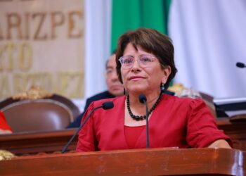 Defiende la Diputada Martha Avila el derecho de asociación política y  pluralidad parlamentaria 