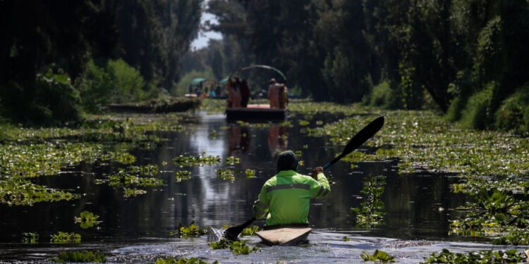 Xochimilco, potencia turística de la capital se estrena como ‘Barrio Mágico’