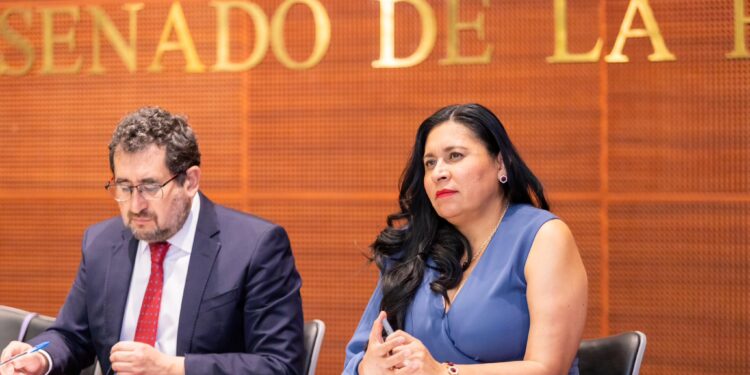 Ana Lilia Rivera expresa su beneplácito por suspensión de la "Ley SB4" en Texas