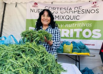 Romeritos de Tláhuac; un manjar con tradición para esta Cuaresma