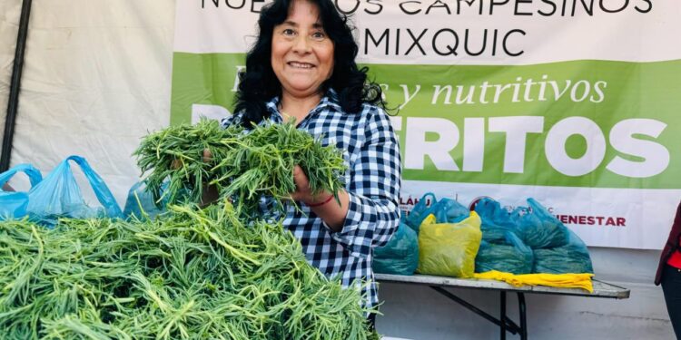 Romeritos de Tláhuac; un manjar con tradición para esta Cuaresma