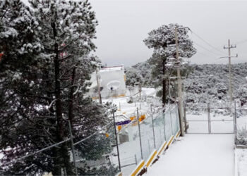 ¡Nevó en el Edomex! Paisajes de invierno llegan al Nevado de Toluca