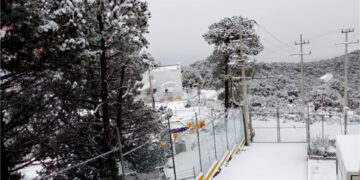 ¡Nevó en el Edomex! Paisajes de invierno llegan al Nevado de Toluca