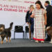 Anuncia Brugada hospital veterinario y 20 clínicas de atención animal
