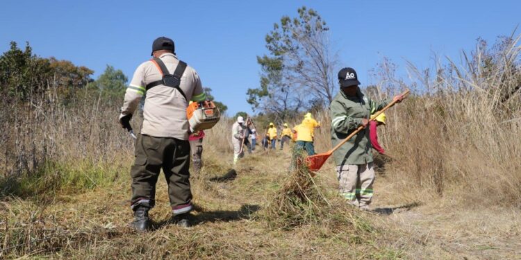 HABILITA ALCALDÍA ÁO CORTAFUEGOS EN PRESA TARANGO