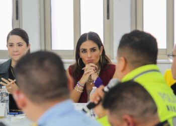 Alessandra Rojo, la degradación del servicio institucional