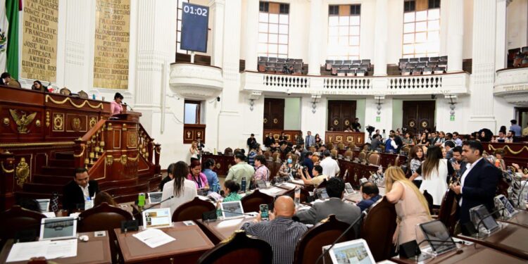 Alcaldías tendrán unidades de cuidado para seres sintientes