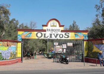 Urge rescatar el Parque de los Olivos en Tláhuac