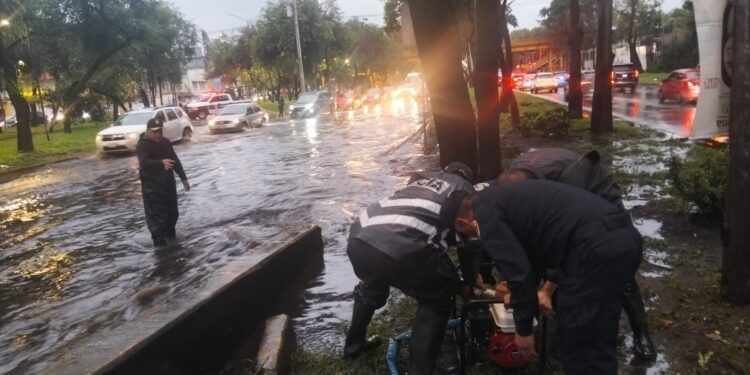 Lluvias dejan 15 árboles caídos e inundaciones 