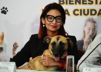 ¡Los Ojos de la Capital!