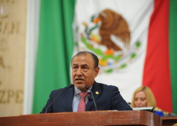 Exigen acciones ante omisión de alcaldías en registro de paseadores de perros