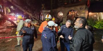 Árboles caídos y vialidades afectadas en Coyoacán tras intensa lluvia