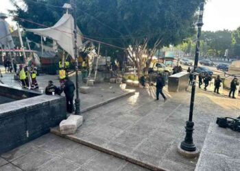 Puntos cannábicos: Tolerancia bajo custodia