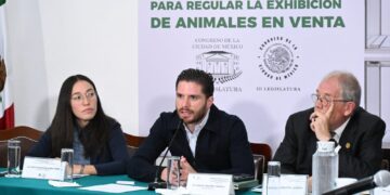 Animales en vitrinas bajo escrutinio legal