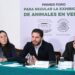 Animales en vitrinas bajo escrutinio legal