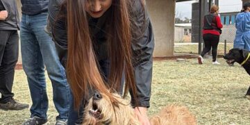 Refugio Franciscano expuso incapacidad y opacidad del Gobierno capitalino