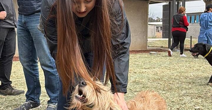 Refugio Franciscano expuso incapacidad y opacidad del Gobierno capitalino