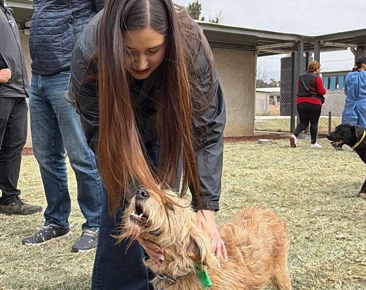 Refugio Franciscano expuso incapacidad y opacidad del Gobierno capitalino