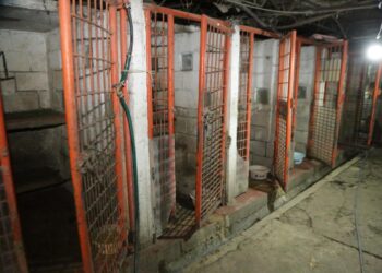 Gobierno CDMX responde a señalamientos, pero no logra apagar la indignación por caso Refugio Franciscano