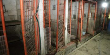 Gobierno CDMX responde a señalamientos, pero no logra apagar la indignación por caso Refugio Franciscano