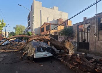 Sismo activa protocolos de emergencia en CDMX; se reportan heridos, cortes de luz y una persona fallecida
