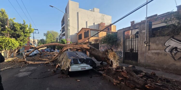 Sismo activa protocolos de emergencia en CDMX; se reportan heridos, cortes de luz y una persona fallecida