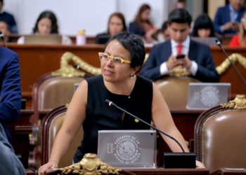 Retrasos, caos y abandono: el Metro ya no da