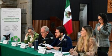 “Duele el abandono”: buscan registro obligatorio de rescatistas en CDMX para frenar crisis animal