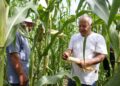 Residuos porcinos regresan al campo como nutrientes